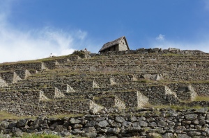 Machu Picchu 3.1